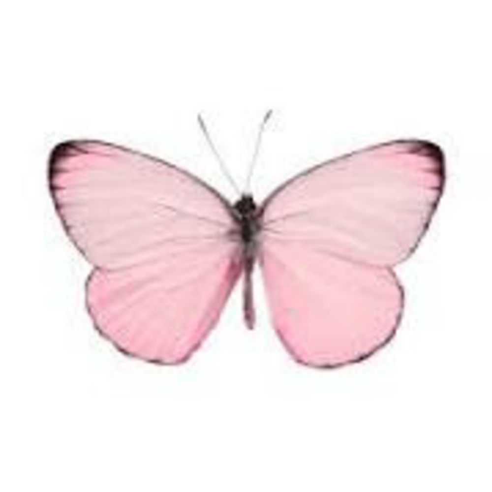 Meet your Posher, Kaydence